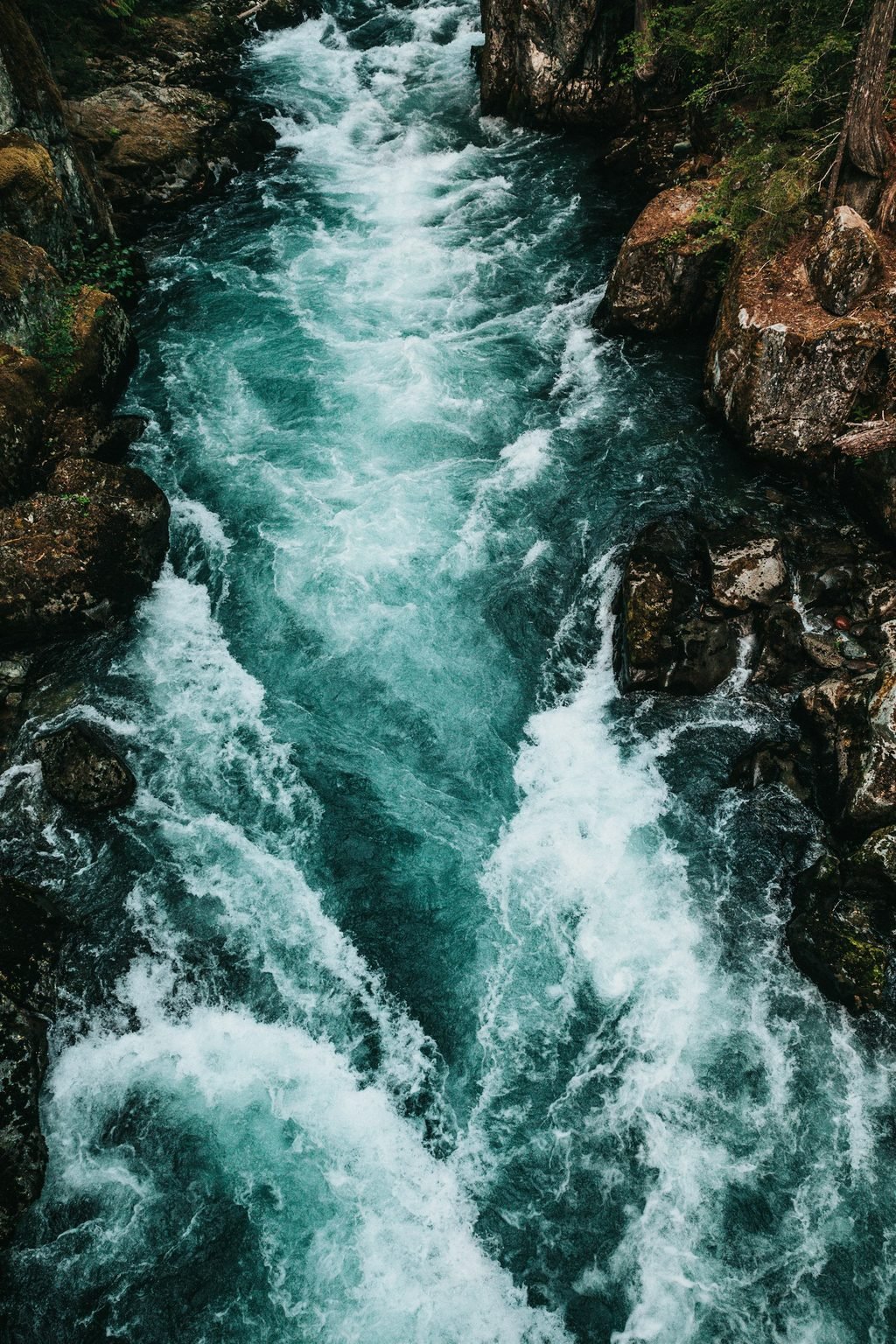The White Nile rushing over rapids near Jinja