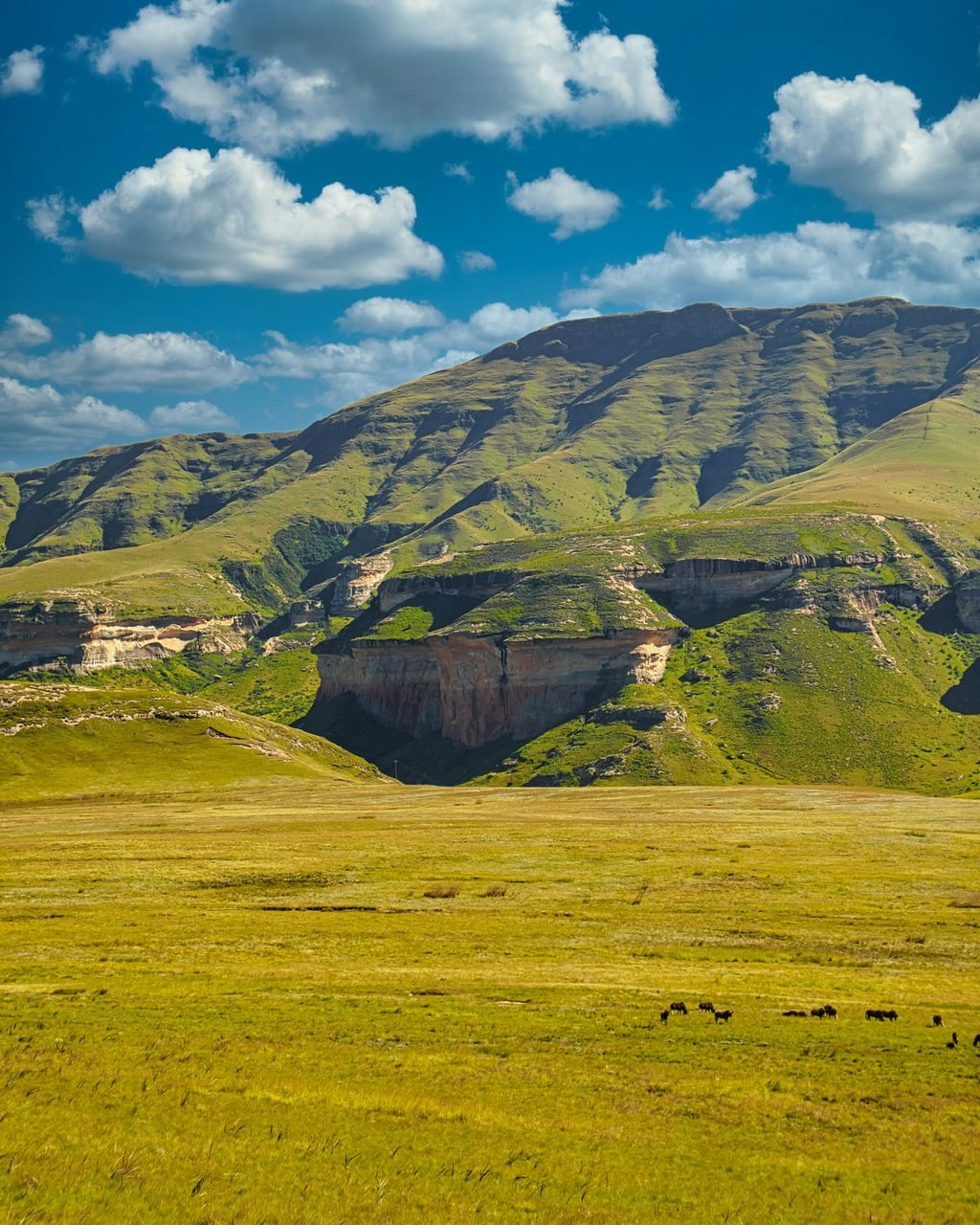 A rocky escarpment rising above the plains of Karamoja